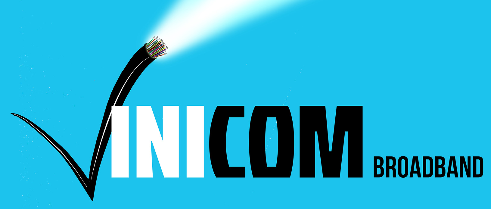 Vinicom_logo